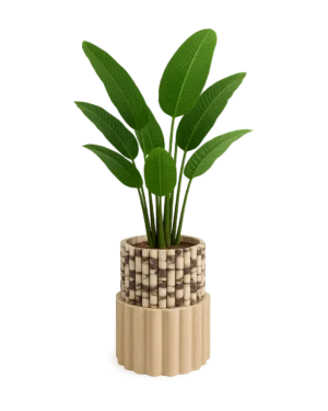 Amara Planter