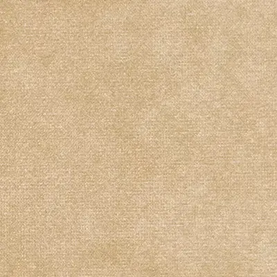 Color swatch image